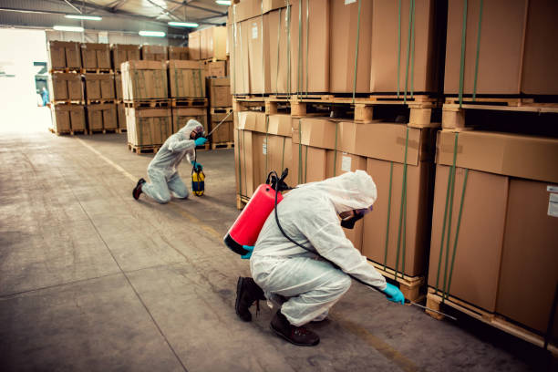 Trusted Teague, TX Pest Control Experts