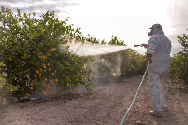 Best Commercial Pest Control Services  in Teague, TX